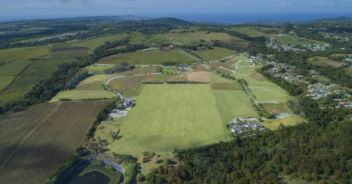 Aerial View Lion Castle Estate Barbados