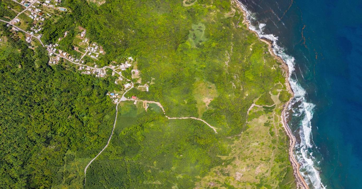 Boscobelle Plantation Aerial