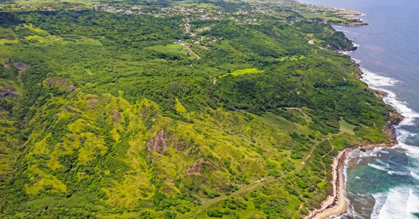 Boscobelle Plantation Forestry