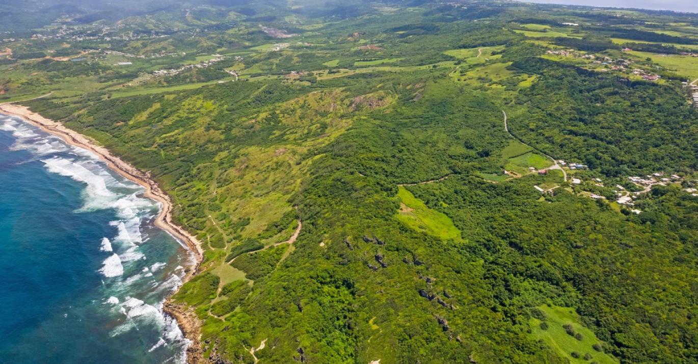 Boscobelle Plantation Undeveloped