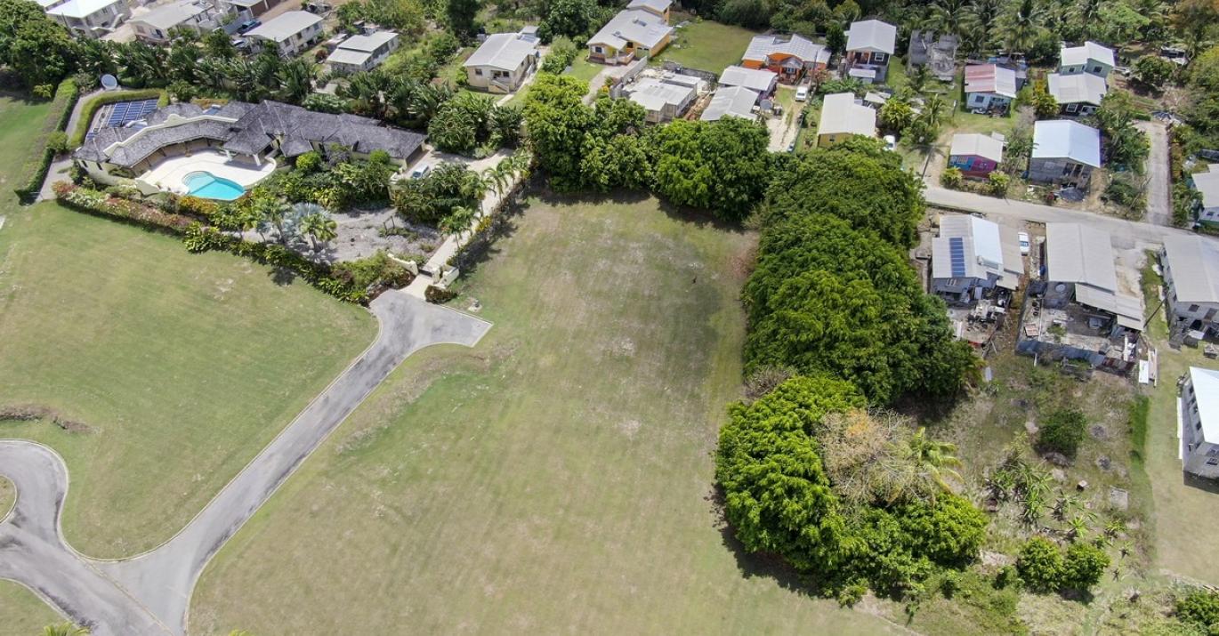 Lion Castle 7A Aerial