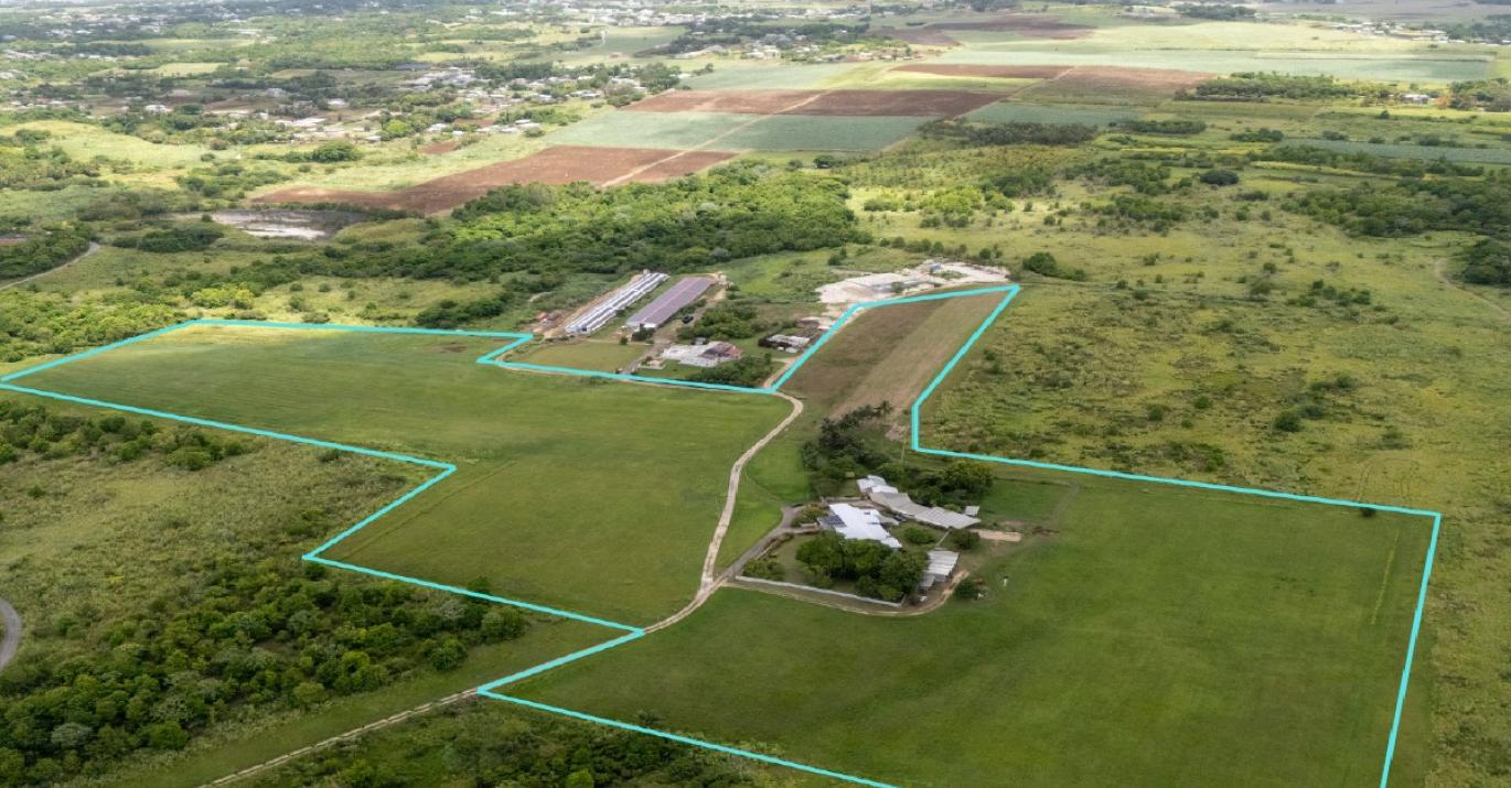 Bell Farm 1A and 2A Countryside Land and Buildings for Sale St John Barbados