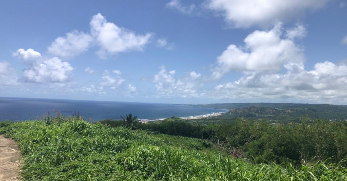 Boscobelle elevated agricultural land for sale Barbados