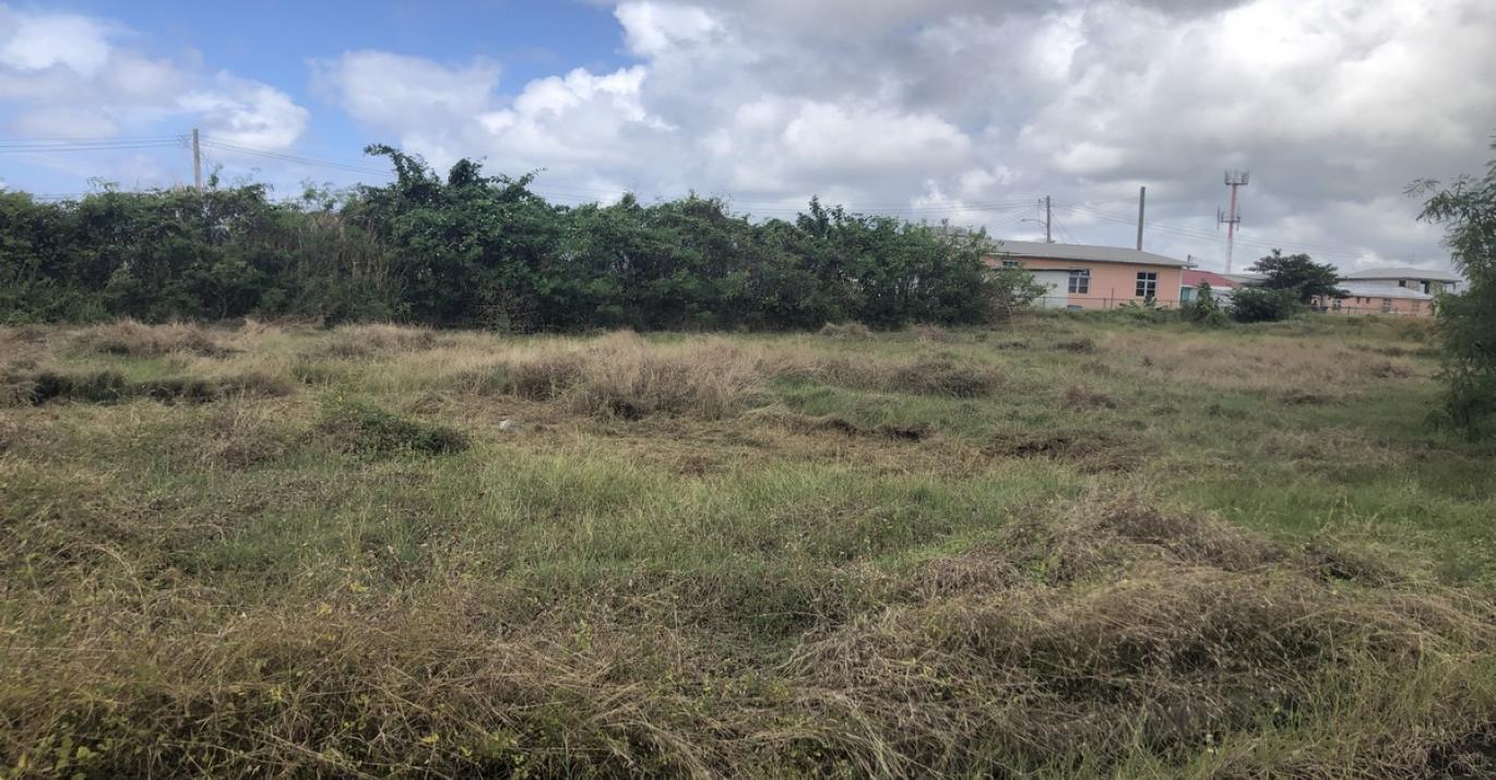 Mile Tree Hill Lot 6 Land in District in Inch Marlow Christ Church Barbados