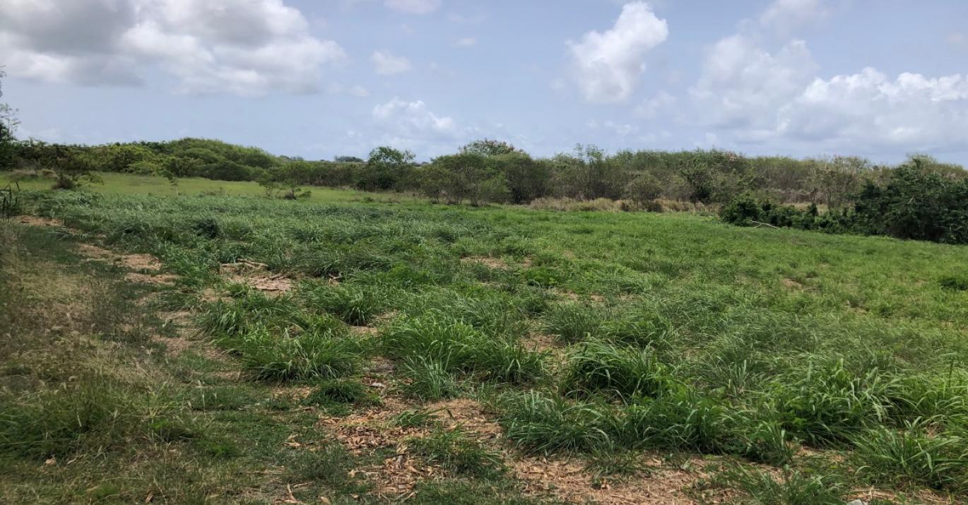 Lot 1 Vale View Residential Land for Sale Barbados