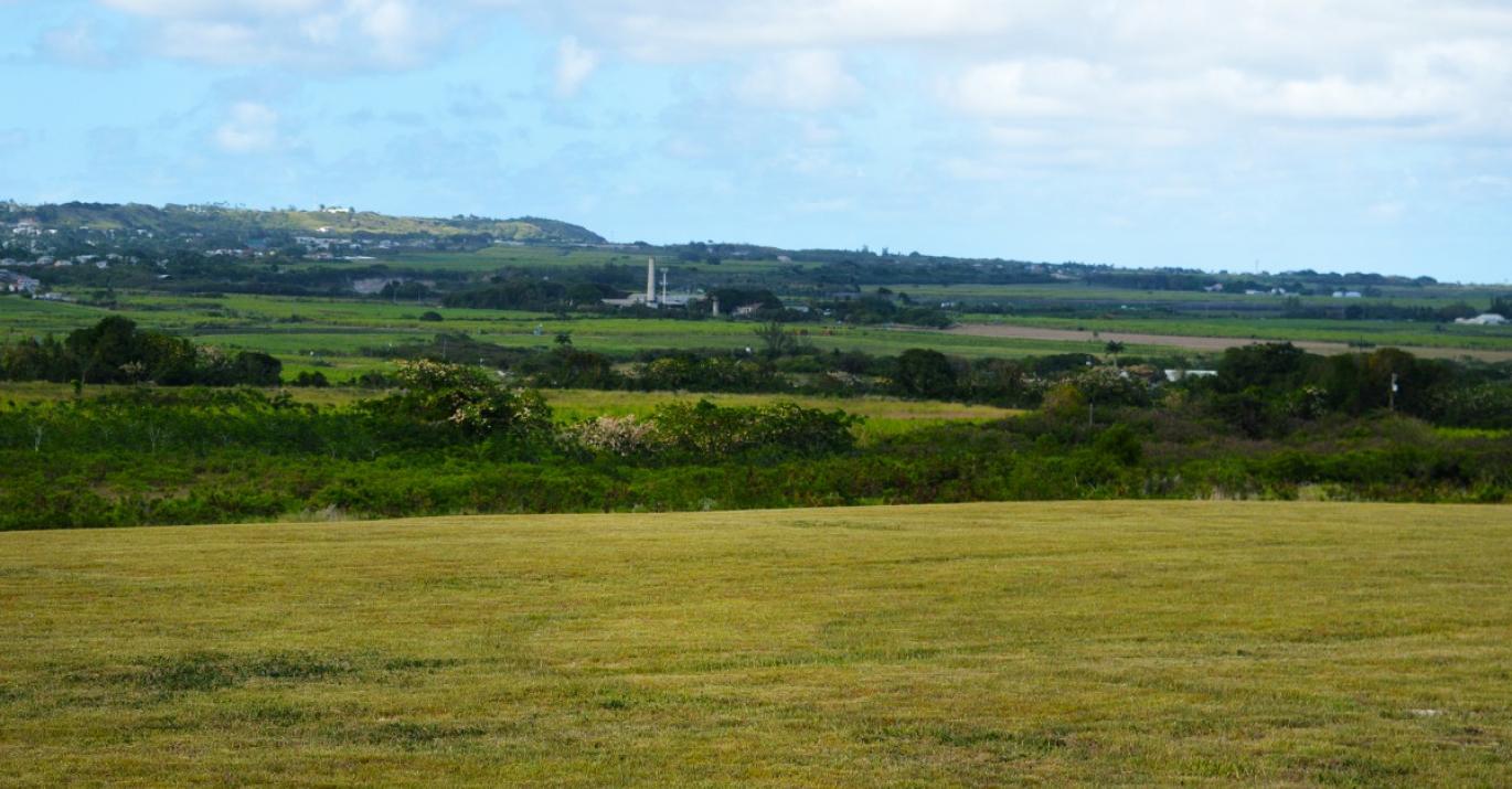 Yorkshire Lot 5 Countryside Land for Sale Christ Church Barbados